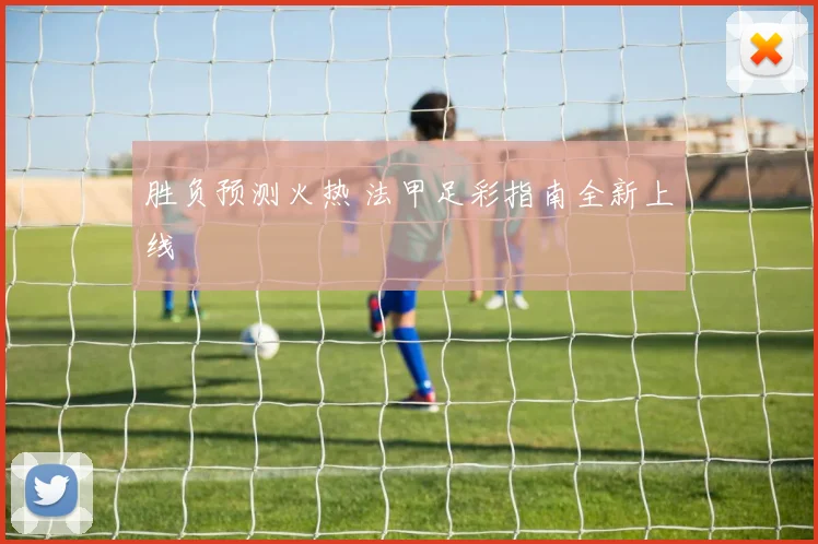 胜负预测火热 法甲足彩指南全新上线