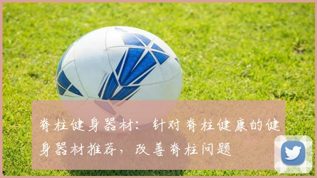 脊柱健身器材:针对脊柱健康的健身器材推荐,改善脊柱问题